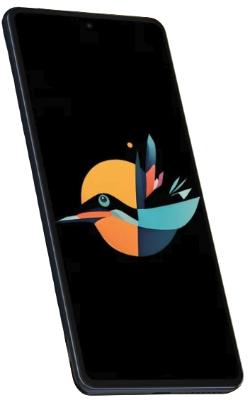 Application PELYCAN sur smartphone